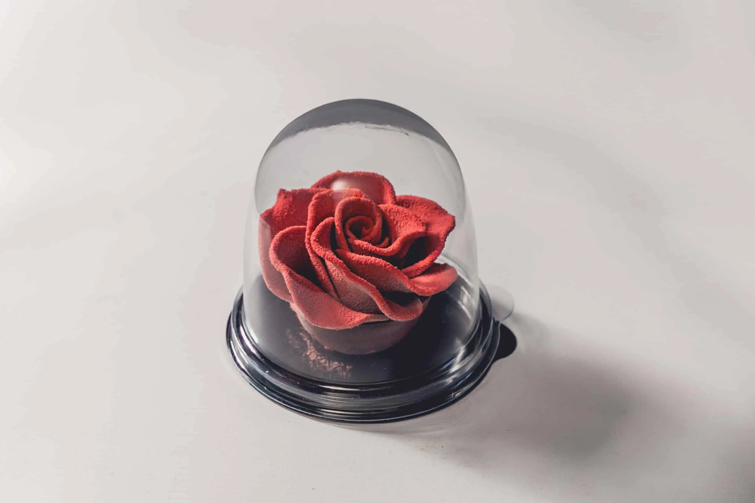 Rose chocolat noir & praliné – Image 3