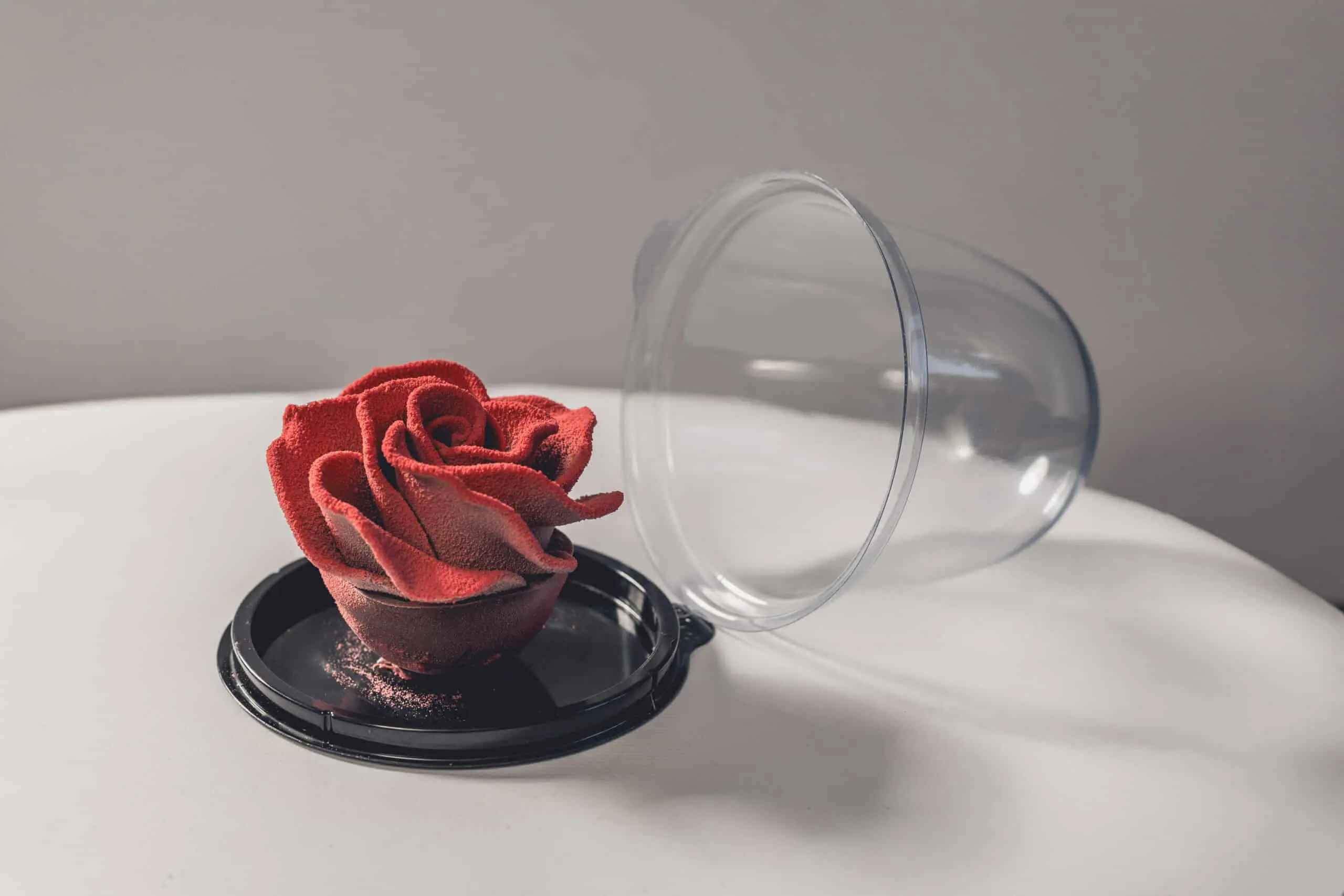 Rose chocolat noir & praliné – Image 2